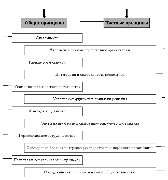 ������: ������������� ���������� ���������� ����������� 